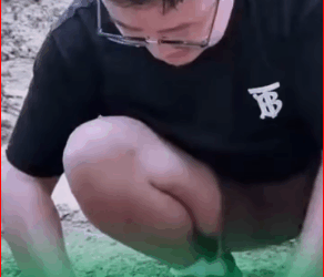 M2109003_The-little-dog-was-dying-in-pile-of-mud-its-eyes-filled-with-despa._part2