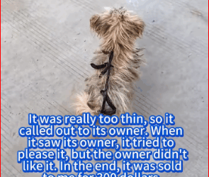 Be kind to life ,start you me! part2