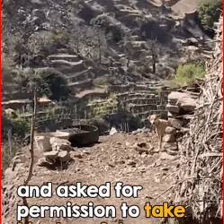 reactions He was abandoned in mountains years hot402.com_part2