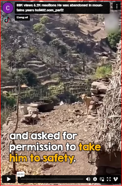 reactions He was abandoned in mountains years hot402.com_part2