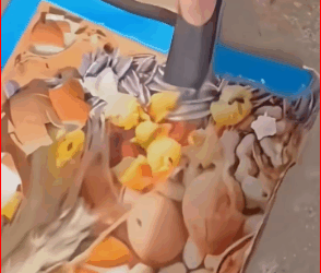 rescue cat caught in mouse trap #petlover #kitten #cutepet #doglovers…_part2