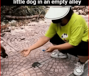 Puppy Puppy Abandoned #foryou #animal #dog #puppy #abandoned #rescue_part2