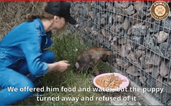 Shattered Silent Her Heart Screamed Mercy_part2