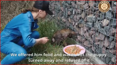 Shattered Silent Her Heart Screamed Mercy_part2