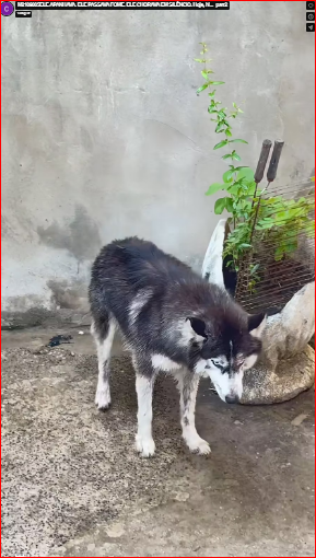 M2109005ELE APANHAVA. ELE PASSAVA FOME. ELE CHORAVA EM SILÊNCIO. Hoje, hi…_part2