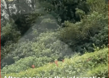 Pregnant Paralyzed, She Crawled on Road Begging Help_part2