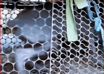 dog imprisoned in cage long time was abused by its owne…_part2