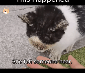 We Thought She Was Blind Forever Then Happen. #fyp #trending #v…_part2