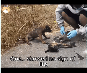 He Lost His Friend But Found Hope Again. #F#Fypt#trendingv#viralf#fo…_part2