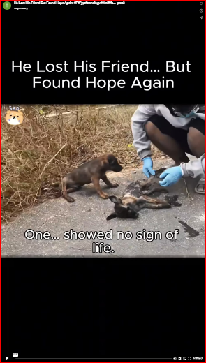 He Lost His Friend But Found Hope Again. #F#Fypt#trendingv#viralf#fo…_part2