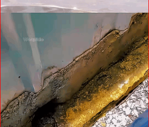 “Rescue the mother cat whose head got stuck in a hole in the wall #animal part2