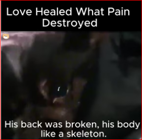 V0912028_Love Healed What Pain Destroyed. #Fyp #trending #viral #foryoupage #s…_part2
