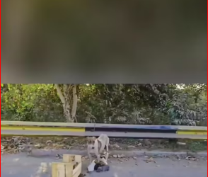 V0912031_She kept touching our feet again again like she was begging us t…_part2