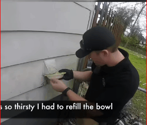 V2911027_#trending #fyp #rescue #animals #love_part2