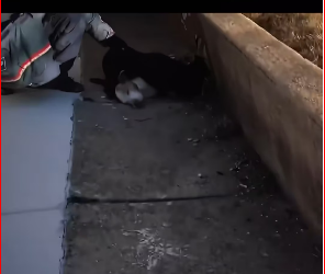 V1912003_We ll keep you posted, no matter what. Please, send love strength…_part2