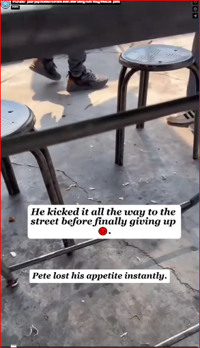 V1212027_poor pup trusted humans even after being hurt! #dog #rescue_part2