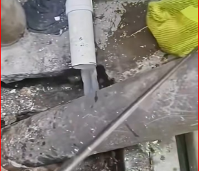 M2212005_#cat #catsoftiktok #poorcat #rescuecat_part2