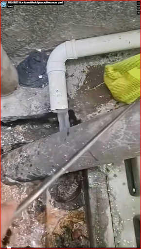 M2212005_#cat #catsoftiktok #poorcat #rescuecat_part2