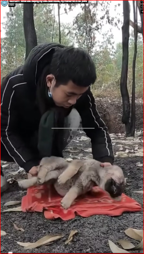 M2212014_While was helping my wife clean house, my mother ran in be_part2