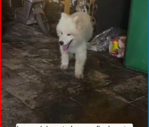 M2212024_He abandoned me, or perhaps he was just playing around as usual.#anim…_part2