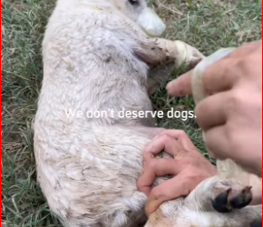 M2212025_Watch till end.#hopecore #core #positivity_part2