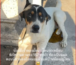 V0312014_ Don’t go to the doctor, okay? I’ll help treat it until you get better. I stopped selling for one day to go help my sister… _part2