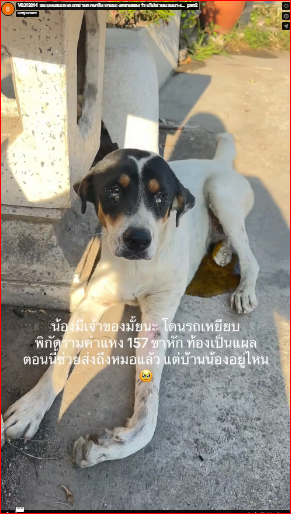 V0312014_ Don’t go to the doctor, okay? I’ll help treat it until you get better. I stopped selling for one day to go help my sister… _part2