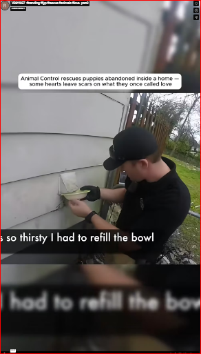 V2911027_#trending #fyp #rescue #animals #love_part2