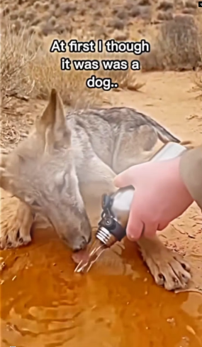 V0301013_TikTok_part2