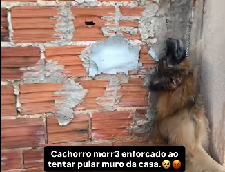 V100106#liveincentiveprogram #SpareMomentsLIVE #PaidPartnership part2