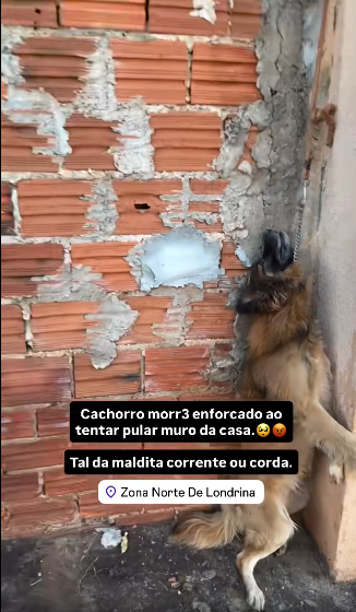 V100106#liveincentiveprogram #SpareMomentsLIVE #PaidPartnership part2