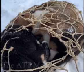 V2301004_Suddenly heard their voice._part2