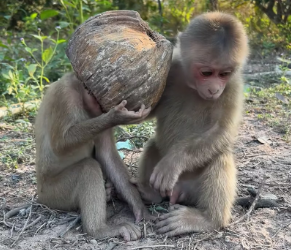 V2301012_#usa #love #fyp #foruyou #tiktok_part2