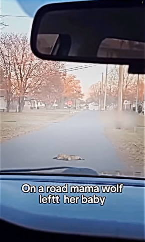 V0301014_TikTok (1)_part2