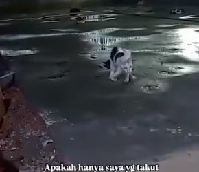 V0701020_#fypppppppppp_part2