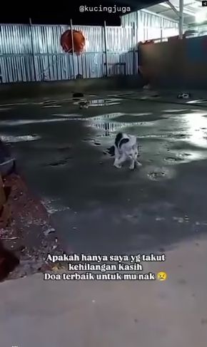 V0701020_#fypppppppppp_part2