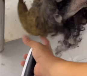 V0402002_After four years behind bars, day no one wanted him, happened t…_part2